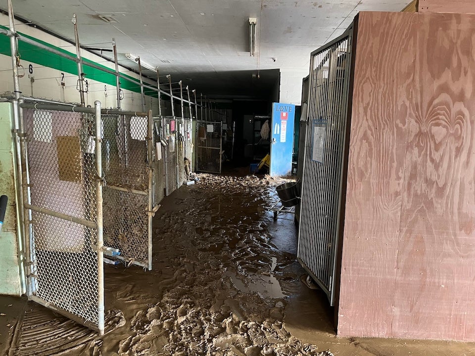 Inside of the Unicoi Animal Shelter after flooding from Hurricane Helene