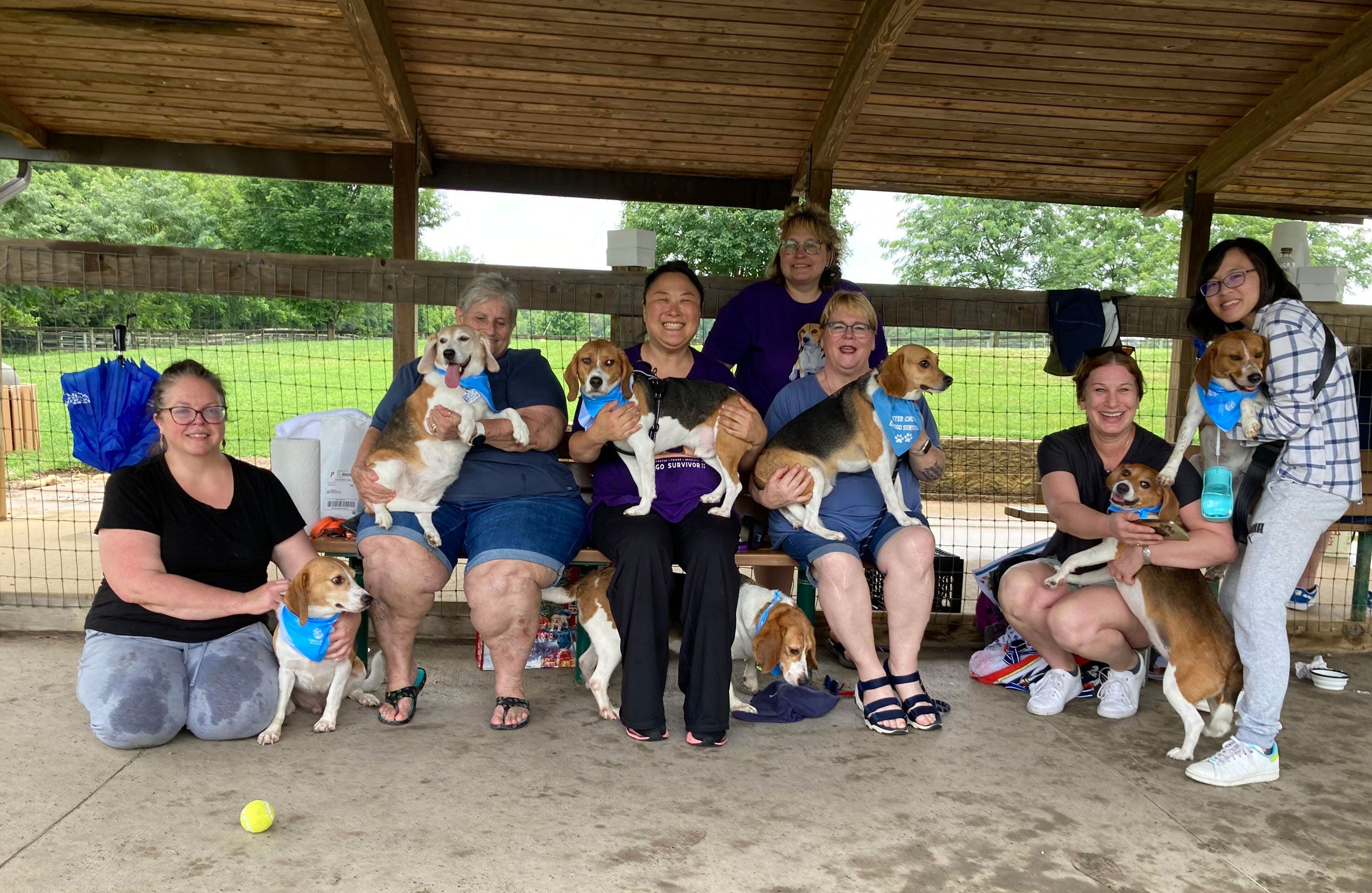 Beagles who survived animal testing sit for a photo with their owners during an Envigo survivor reunion at a dog park