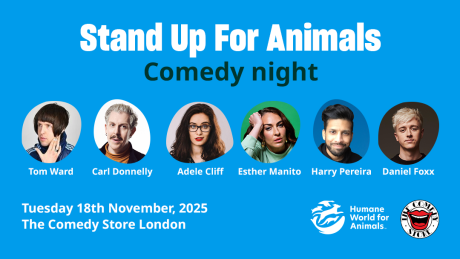 Stand up for animals 2025