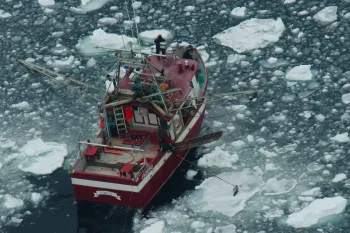 Canadian seal slaughter