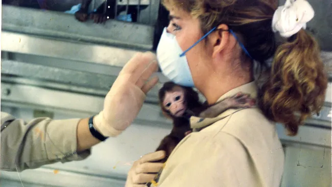 Kathleen Conlee with rhesus monkey infant.