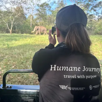 A safari in the serene Nagarahole Tiger Reserve