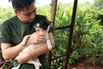 HSI staffer Quang Nguyen removes a dog from a Viet Nam dog meat facility.