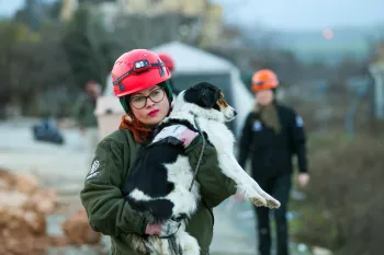Animal rescue team member carries a dog during earthquake rescue