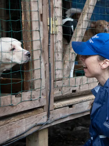 HSUS staff with a dog being rescued from a large-scale alleged severe neglect case in Florida