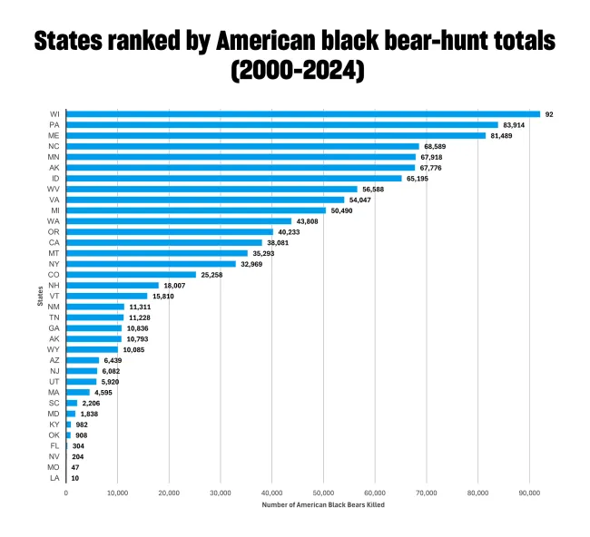 Chart ranking states by the number of American black bears killed by hunts 