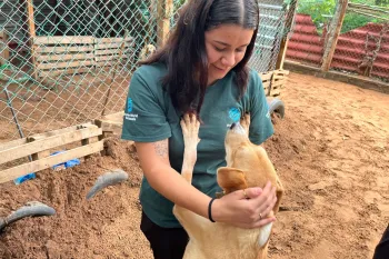 Rescue from a disaster in Mexico