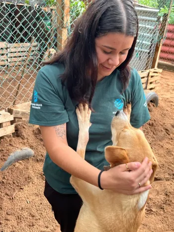 Rescue from a disaster in Mexico