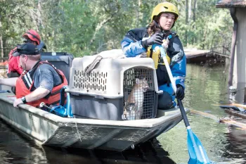 Emergency response team on a boat with rescued cats in a crate.