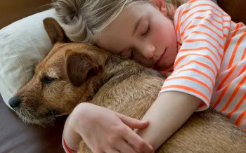 Pet adoption is the snuggliest option.