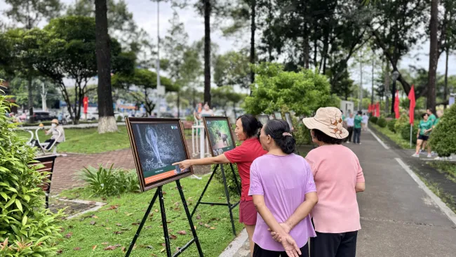 Women are looking at the exhibition photo of an elephant 