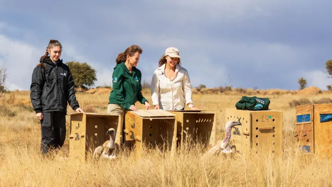 a group of people standing in a field with a group of birds