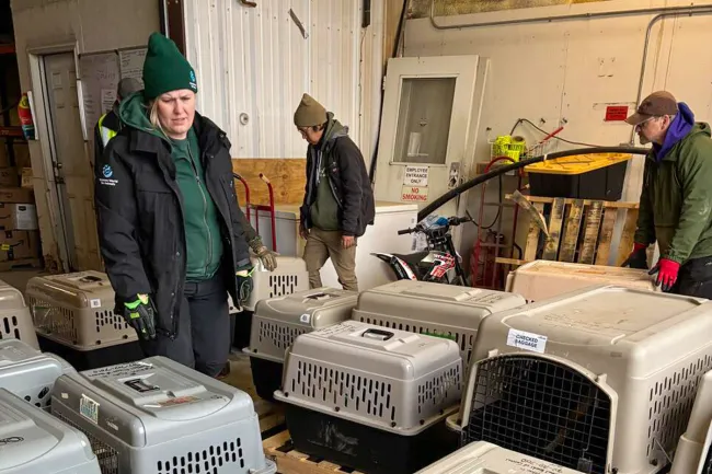 Response to typhoon Halong in Western Alaska