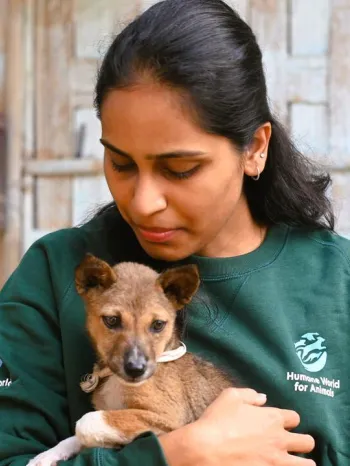 Puppies rescued from dog meat trade in Jorhat, Assam, India