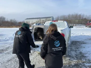 Helping after Alaska flooding