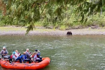 Great Bear Rainforest trip