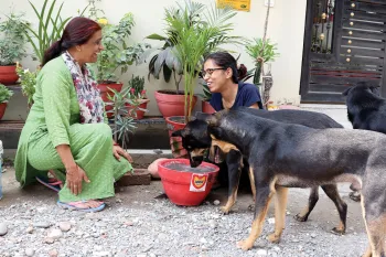 Two women giving water to street dogs in India.