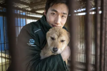 Sangkyung Lee, Campaign Manager of Humane World for Animals Korea, interacts with a dog inside a cage at a dog meat farm.
