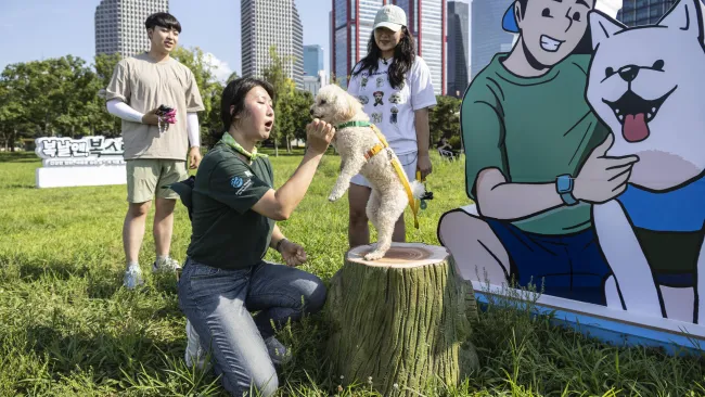 A woman petting a dog in the grass.