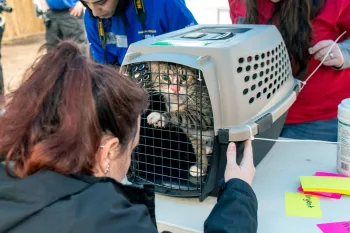 A cat in a crate is being examined by a rescue team member.