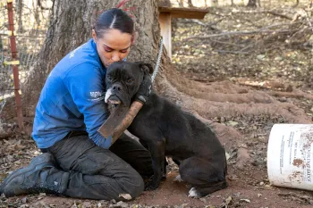 A woman in a blue shirt comforts a black dog outdoors