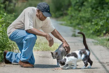 Man visits with some neighborhood kitties.