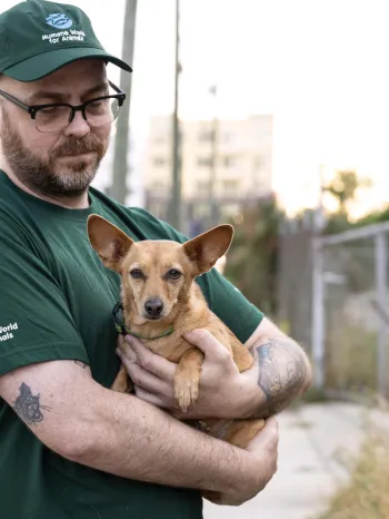 Staff interact with dogs in Asheville NC
