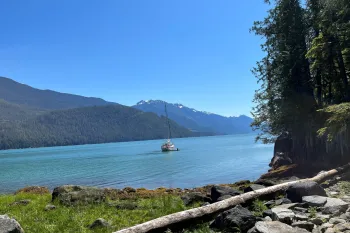 Great Bear Rainforest