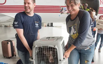 HSUS staff and shelter partner, Lost Dog Rescue, transporting a dog to safety