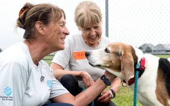 Two volunteers at a care center interact with a rescue dog