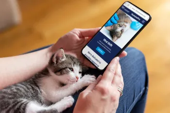 person with kitten on their lap holding a smartphone showing HumanePro website